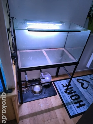 120 liter Aquarium komplett Set 