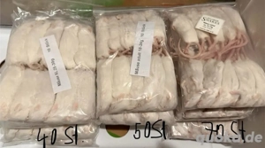 Frostmäuse   Frostfutter - verschiedene Größen - 10er Pack