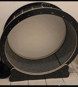 Katzenlaufrad 