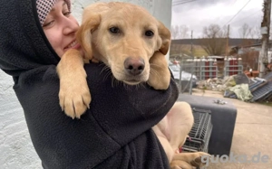 kleine Sonne Sinje sucht das Licht