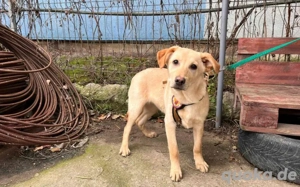 kleine Sonne Sinje sucht das Licht