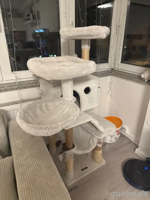 kratzbaum zu verschenken 