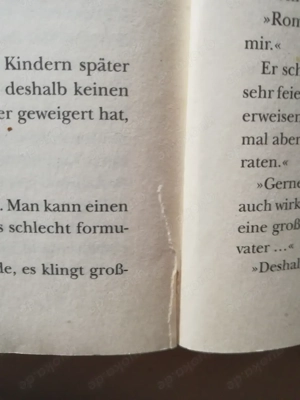 Die Töchter der Familie Faraday - Monica McInerney  Bild 6