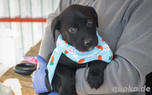 Einfach zum Anbeißen: Cupcake!