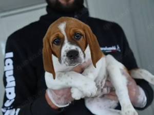 Christhie sucht ihr Zuhause