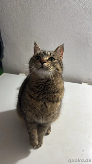 Jacky wartet auf ihr Stück vom Glück Bild 3