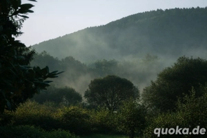 Satsang   stiller Gesprächsraum Online