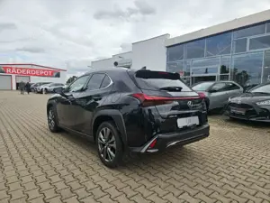 Lexus UX 300h F Sport Design Kamera, SHZ, LED, Navi Bild 5