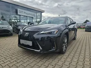 Lexus UX 300h F Sport Design Kamera, SHZ, LED, Navi Bild 2