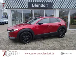 Mazda CX-30 Homura 140 Automatik Navi|Alexa|LED|Kamera