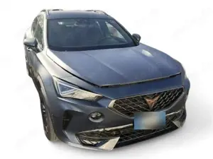 CUPRA Formentor 1.4 e-Hybrid DSG Carplay/Kamera/ACC