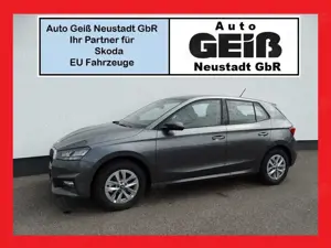 Skoda Fabia 1.0 TSI Drive Plus Shz/Rkam/App/5J.Garant