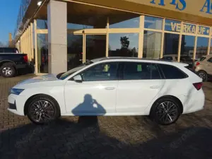 Skoda Octavia Combi 150PS DSG mHEV Selection ACC Bild 3