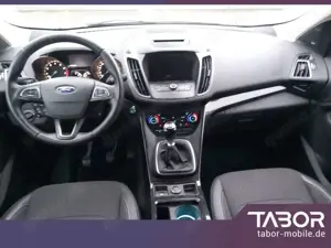 Ford Kuga 1.5 EcoBoost 150 Titanium Nav PDC eHk LM17Z Bild 5