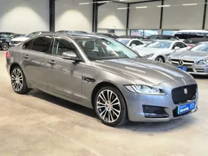 Jaguar XF 3.0 V6 KOMPRESSOR PRESTIGE LEDER XENON PANO Bild 3