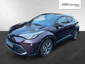Toyota C-HR Hybrid Team D