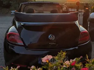 Volkswagen Beetle The Beetle Cabriolet 1.4 TSI Blue Motion Allstar