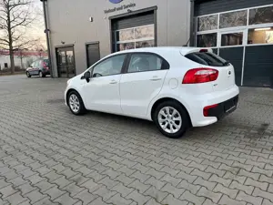 Kia Rio Dream Team Bild 5