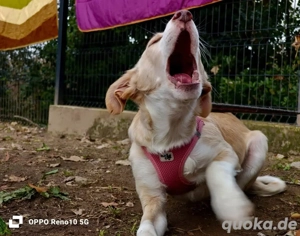 BONNIE   ist bereit für ihr Glück