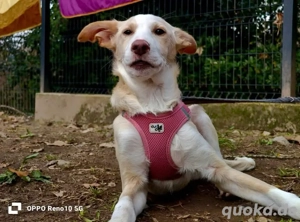 BONNIE   ist bereit für ihr Glück