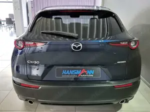 Mazda CX-30 5WGN 2.5L e-SKYACTIV G 140ps 6AT FWD Homura Bild 4