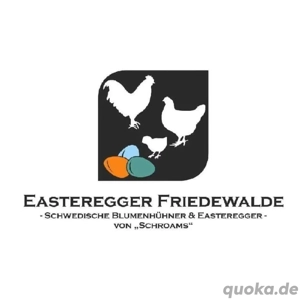 Bruteier von großen Seidenhühnern (Keine Zwerge) BE Bild 10