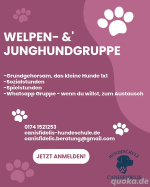 Welpen - und Junghund - Gruppe Bild 2