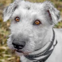 Maja K ca. 55 cm   die ruhige Schnüfflerin [auf Pfegestelle in 82049 Pullach] 