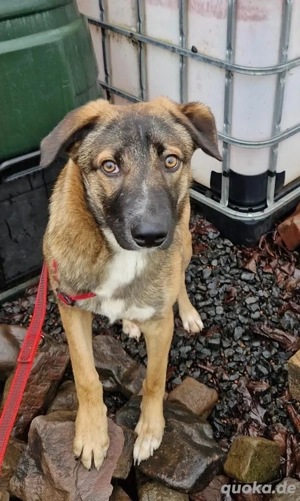 Bootsmann möchte dein Leben bereichern 