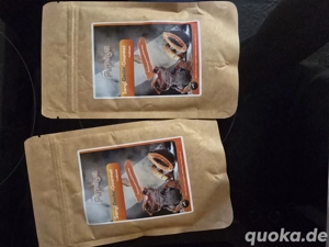 Gecko brei zu verkaufen neu