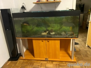 Aquarium für wasserschildkröten 