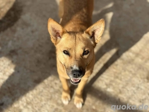 Tessa B ca. 42 cm - die Goldige