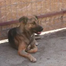 Hanna ca. 42 cm - Die Unaufdringliche