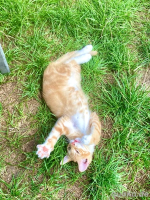 Der einmalige Ruben sucht Gartenfreunde!