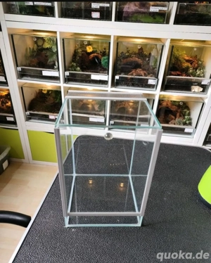 Terrarium 20 x 20 x 30 