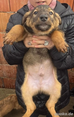 3 kleine Schätze suchen ihr Glück 