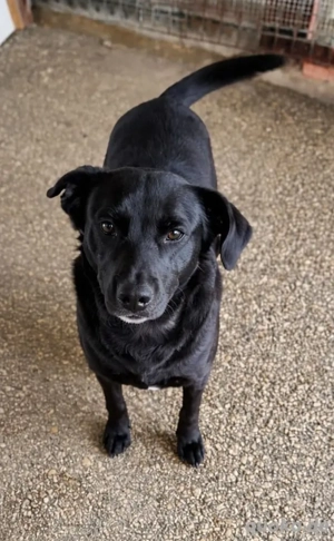 BONNIE sucht ihre Familie