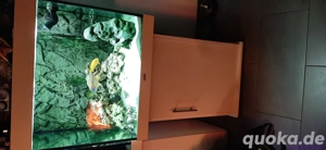 Juwel Aquarium 200 Liter komplettset  hochglanzweiß 