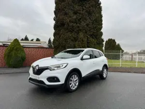 Renault Kadjar Business Edition Bild 1