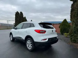 Renault Kadjar Business Edition Bild 2