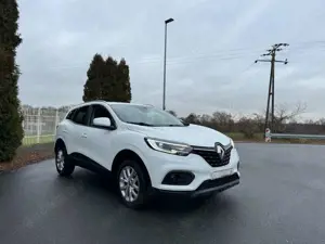 Renault Kadjar Business Edition Bild 3
