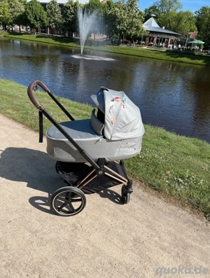 Cybex priam platinum Kinderwagen Set Lux Carry Cot Babywanne Koi Collection