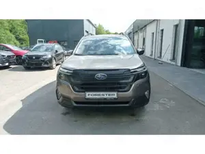 Subaru Forester 2.0 ie AWD Exclusive AHK abnehmbar PANORAMADACH NA Bild 2