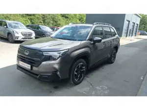 Subaru Forester 2.0 ie AWD Exclusive PANORAMADACH NAVI LED