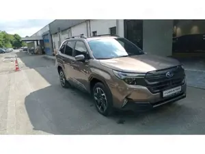 Subaru Forester 2.0 ie AWD Exclusive AHK abnehmbar PANORAMADACH NA Bild 3