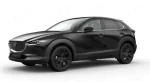 Mazda CX-30 Homura 2.5L Automatik 140ps *ACC/KAMERA/SHZ/ACAA*