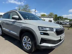 Skoda Karoq 2.0 TDI DSG Selection 4x4 150PS/Pano/AHK
