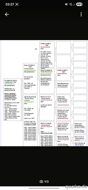 Vandenabeele x Janssen  Bild 2
