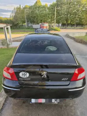 Peugeot 407 SW 2.0e 16V 141ch Premium A