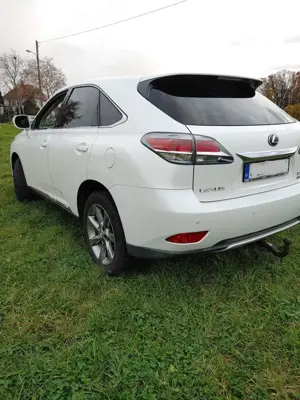 Lexus RX 450h (hybrid) Luxury Line Bild 3
